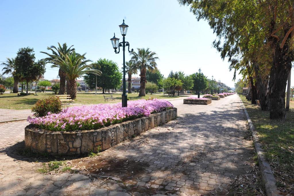 Apartments Dimitra Paralia Dionisiou Exterior foto